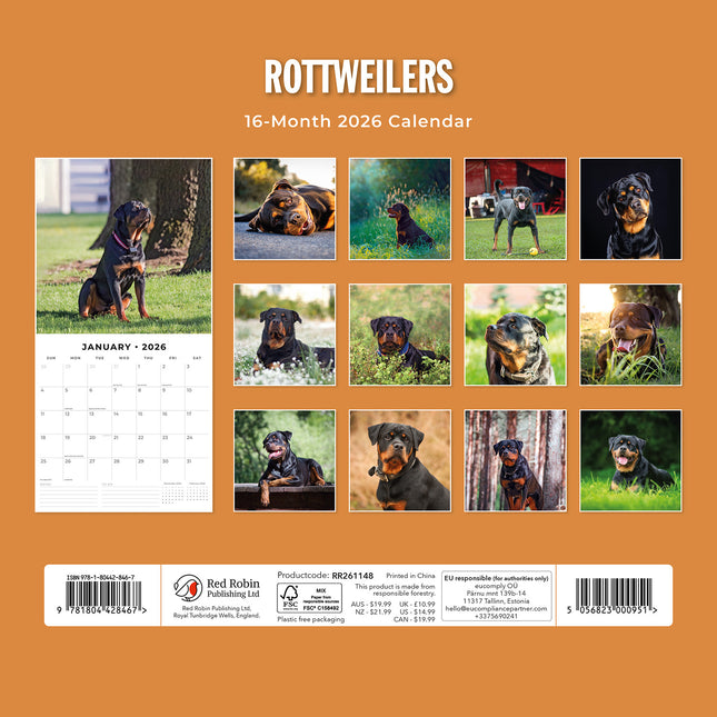 Rottweilers 2026 Premium Square Wall Calendar