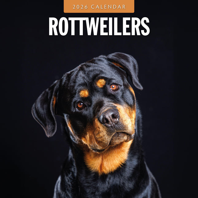 Rottweilers 2026 Premium Square Wall Calendar