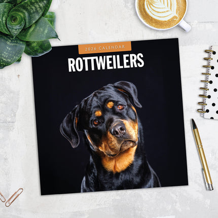 Rottweilers 2026 Premium Square Wall Calendar