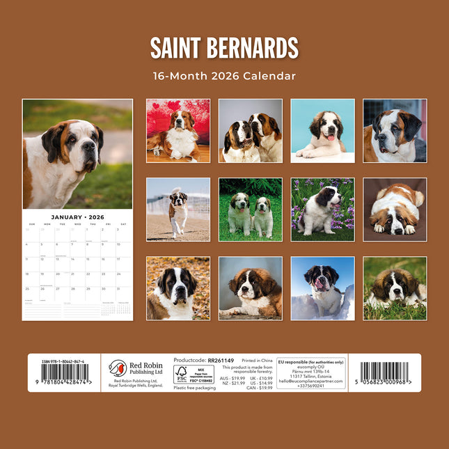 Saint Bernards 2026 Premium Square Wall Calendar
