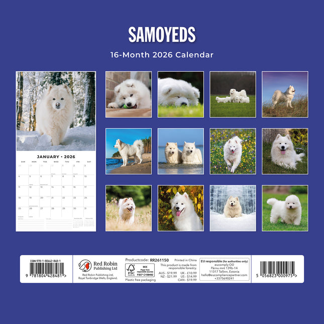Samoyeds 2026 Premium Square Wall Calendar