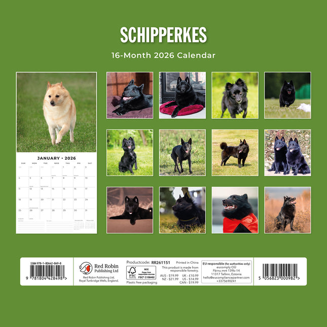 Schipperkes 2026 Premium Square Wall Calendar