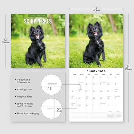 Schipperkes 2026 Premium Square Wall Calendar