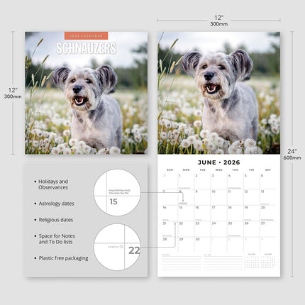 Schnauzer 2026 Premium Square Wall Calendar