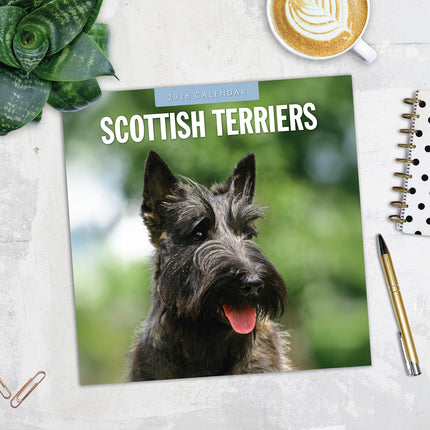 Scottish Terriers 2026 Premium Square Wall Calendar