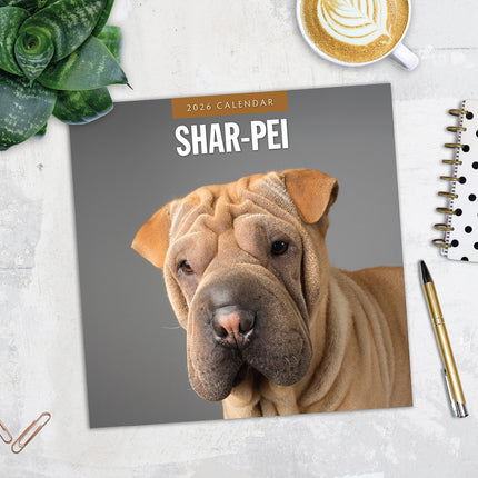 Shar Pei 2026 Premium Square Wall Calendar