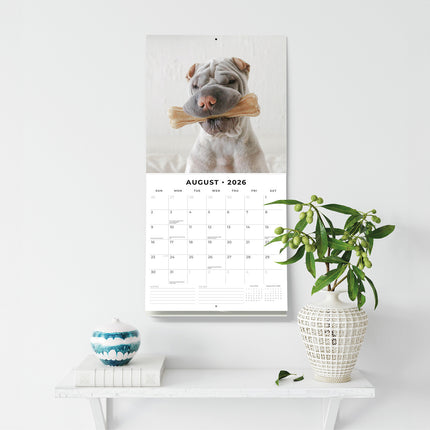 Shar Pei 2026 Premium Square Wall Calendar