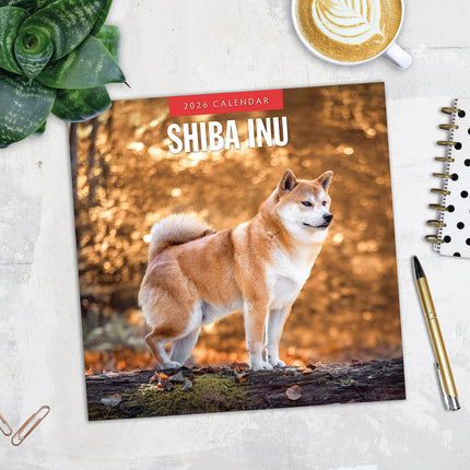 Shiba Inu 2026 Premium Square Wall Calendar