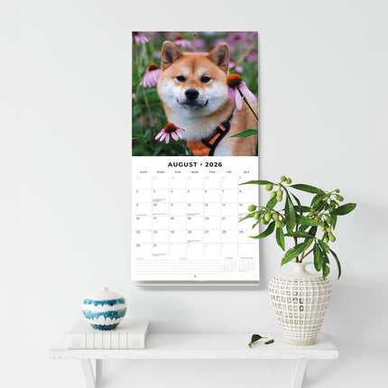 Shiba Inu 2026 Premium Square Wall Calendar