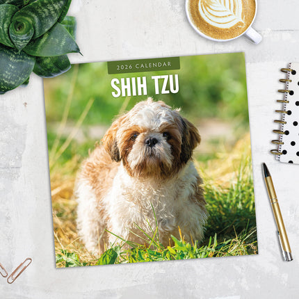 Shih Tzu 2026 Premium Square Wall Calendar