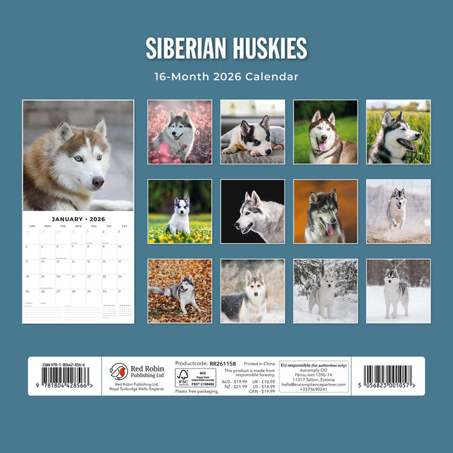 Siberian Huskies 2026 Premium Square Wall Calendar
