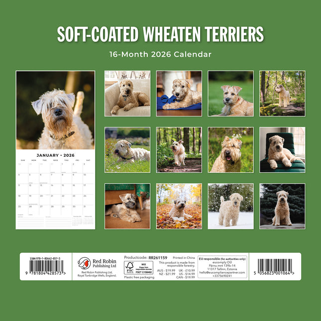 Soft Coated Wheaten Terriers 2026 Premium Square Wall Calendar