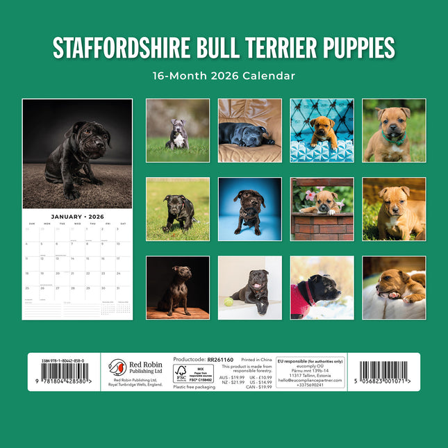Staffordshire Bull Terrier Puppies 2026 Premium Square Wall Calendar