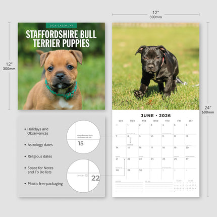 Staffordshire Bull Terrier Puppies 2026 Premium Square Wall Calendar