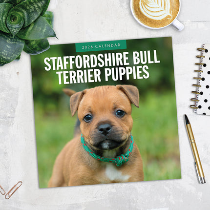 Staffordshire Bull Terrier Puppies 2026 Premium Square Wall Calendar