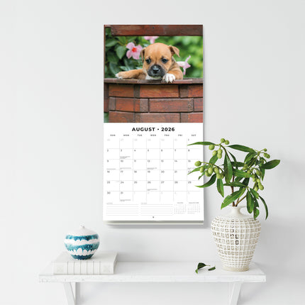 Staffordshire Bull Terrier Puppies 2026 Premium Square Wall Calendar