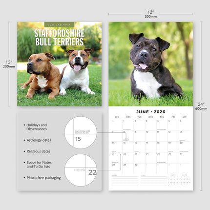 Staffordshire Bull Terriers 2026 Premium Square Wall Calendar