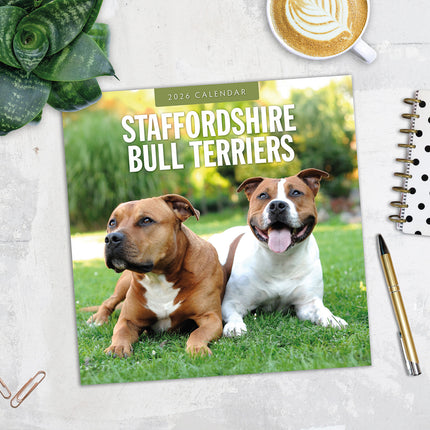 Staffordshire Bull Terriers 2026 Premium Square Wall Calendar