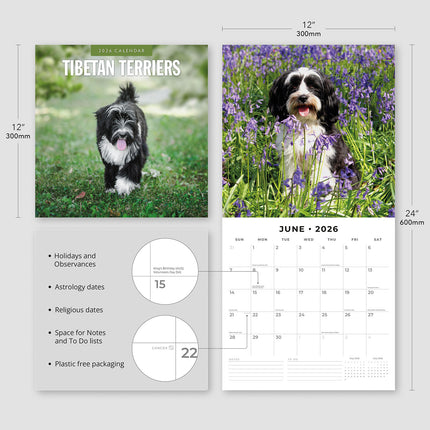 Tibetan Terriers 2026 Premium Square Wall Calendar