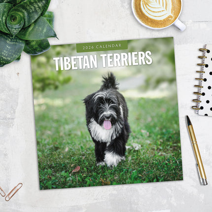 Tibetan Terriers 2026 Premium Square Wall Calendar