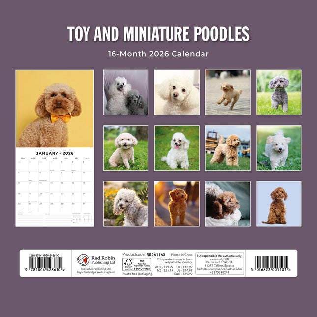 Toy And Miniature Poodles 2026 Premium Square Wall Calendar
