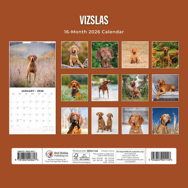 Vizslas 2026 Premium Square Wall Calendar