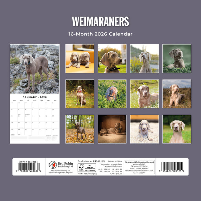Weimaraners 2026 Premium Square Wall Calendar