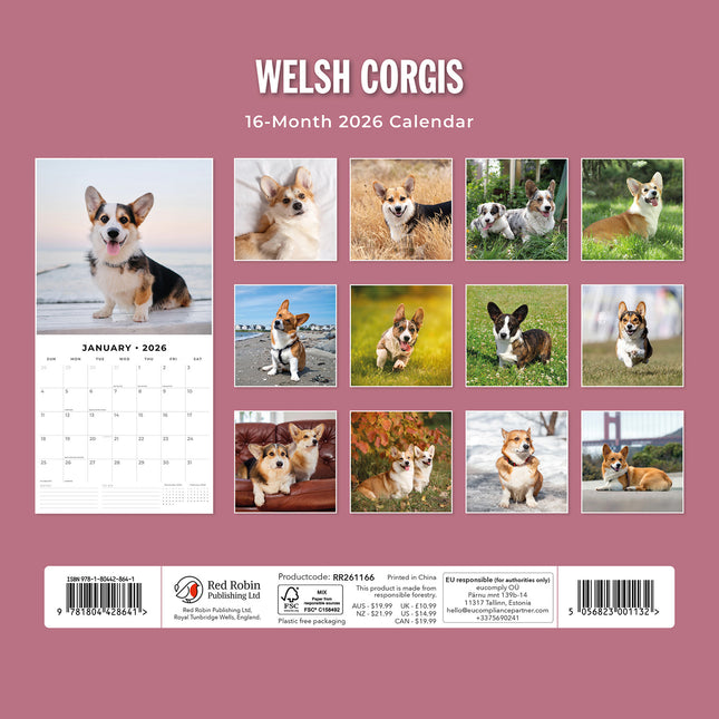 Welsh Corgis 2026 Premium Square Wall Calendar