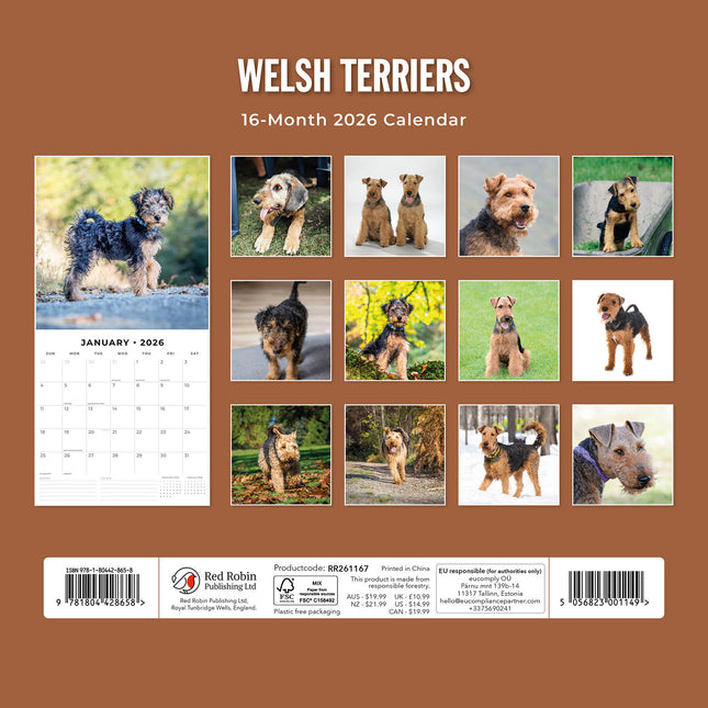 Welsh Terriers 2026 Premium Square Wall Calendar