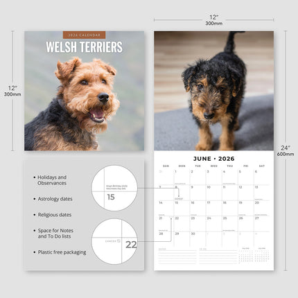 Welsh Terriers 2026 Premium Square Wall Calendar
