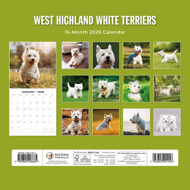West Highland White Terriers 2026 Premium Square Wall Calendar