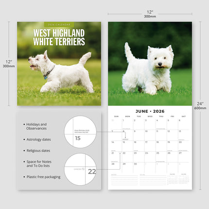 West Highland White Terriers 2026 Premium Square Wall Calendar