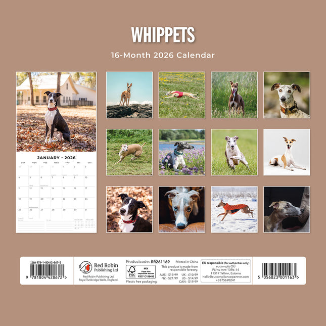 Whippets 2026 Premium Square Wall Calendar