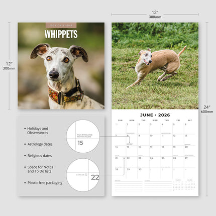 Whippets 2026 Premium Square Wall Calendar