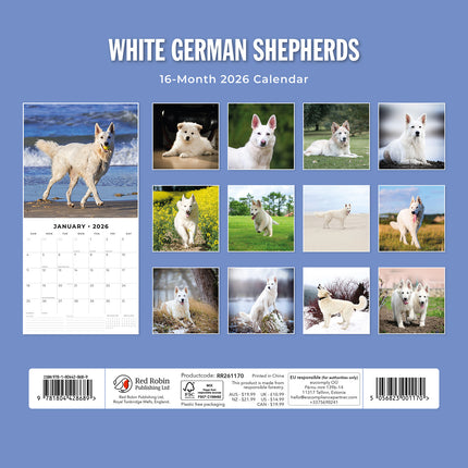 White German Shepherds 2026 Premium Square Wall Calendar
