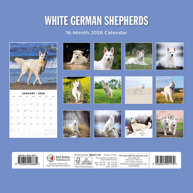 White German Shepherds 2026 Premium Square Wall Calendar