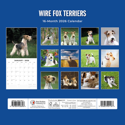 Wire Fox Terriers 2026 Premium Square Wall Calendar