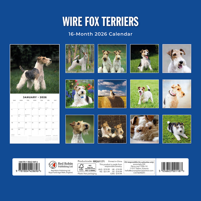 Wire Fox Terriers 2026 Premium Square Wall Calendar