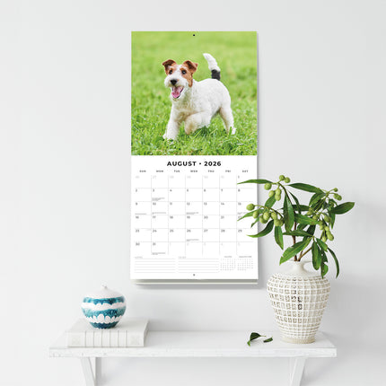 Wire Fox Terriers 2026 Premium Square Wall Calendar