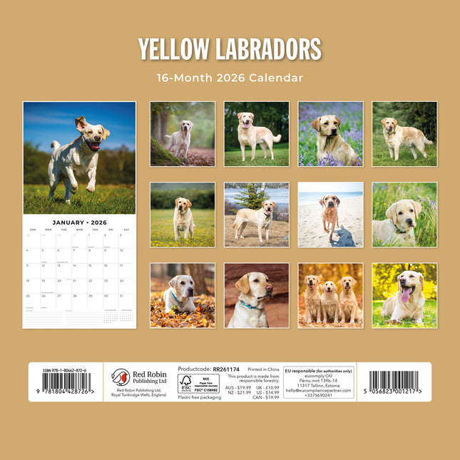 Yellow Labrador 2026 Premium Square Wall Calendar
