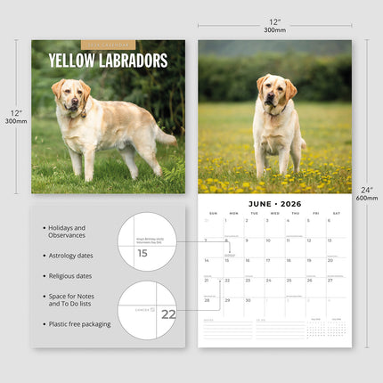 Yellow Labrador 2026 Premium Square Wall Calendar