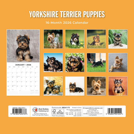 Yorkshire Terrier Puppies 2026 Premium Square Wall Calendar