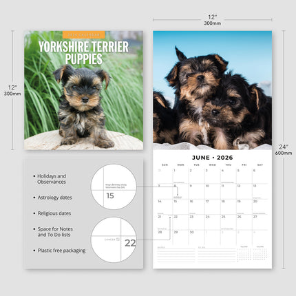 Yorkshire Terrier Puppies 2026 Premium Square Wall Calendar
