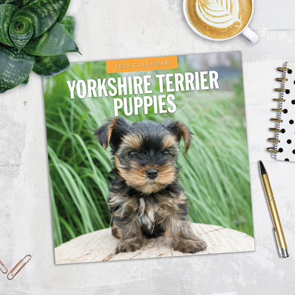 Yorkshire Terrier Puppies 2026 Premium Square Wall Calendar