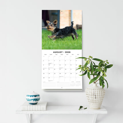 Yorkshire Terrier Puppies 2026 Premium Square Wall Calendar