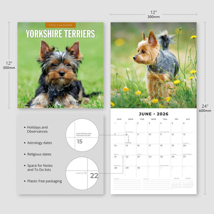 Yorkshire Terriers 2026 Premium Square Wall Calendar