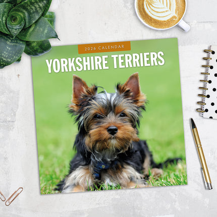 Yorkshire Terriers 2026 Premium Square Wall Calendar
