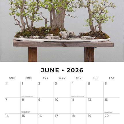 Bonsai 2026 Premium Square Wall Calendar