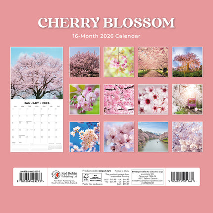 Cherry Blossom 2026 Premium Square Wall Calendar