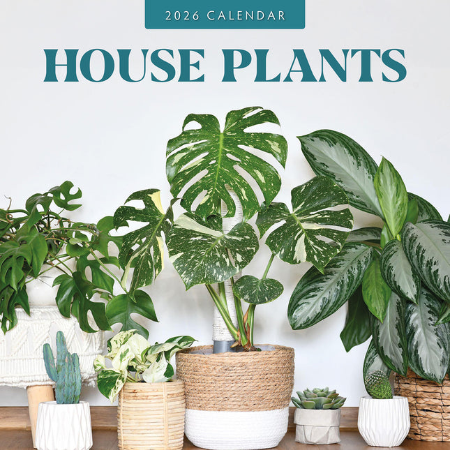 House Plants 2026 Premium Square Wall Calendar
